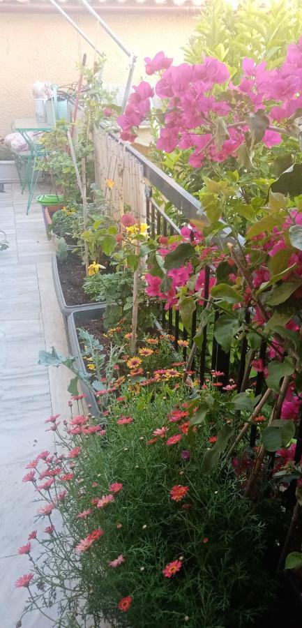 Aegina'S Flowers House מראה חיצוני תמונה