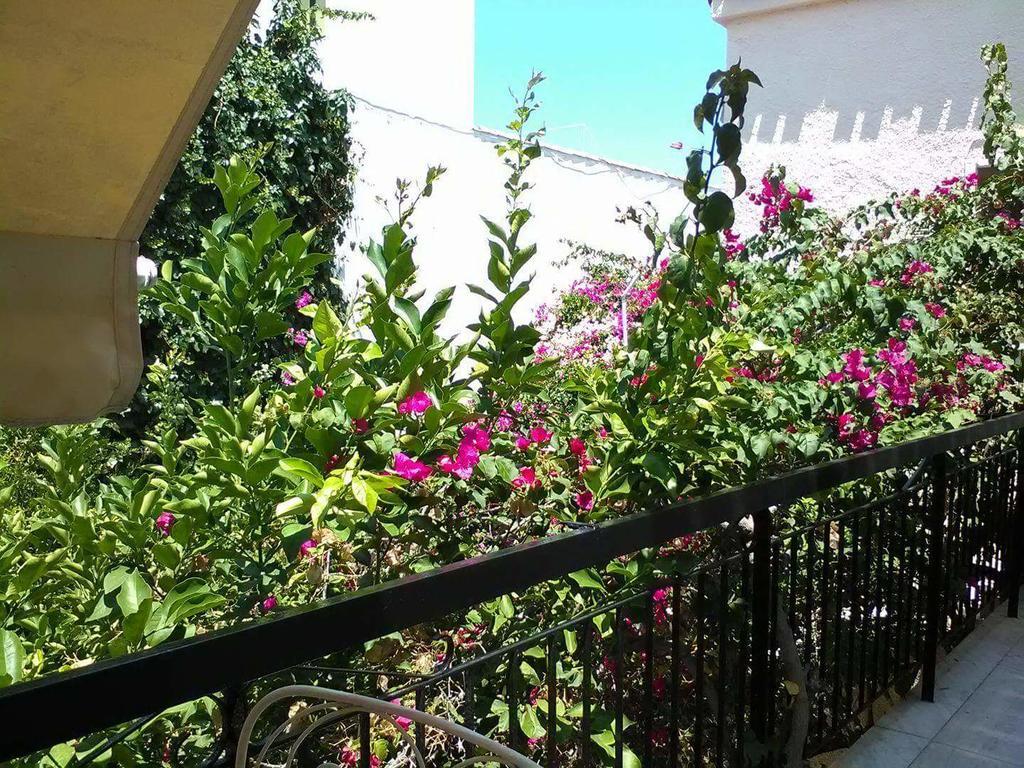 Aegina'S Flowers House מראה חיצוני תמונה
