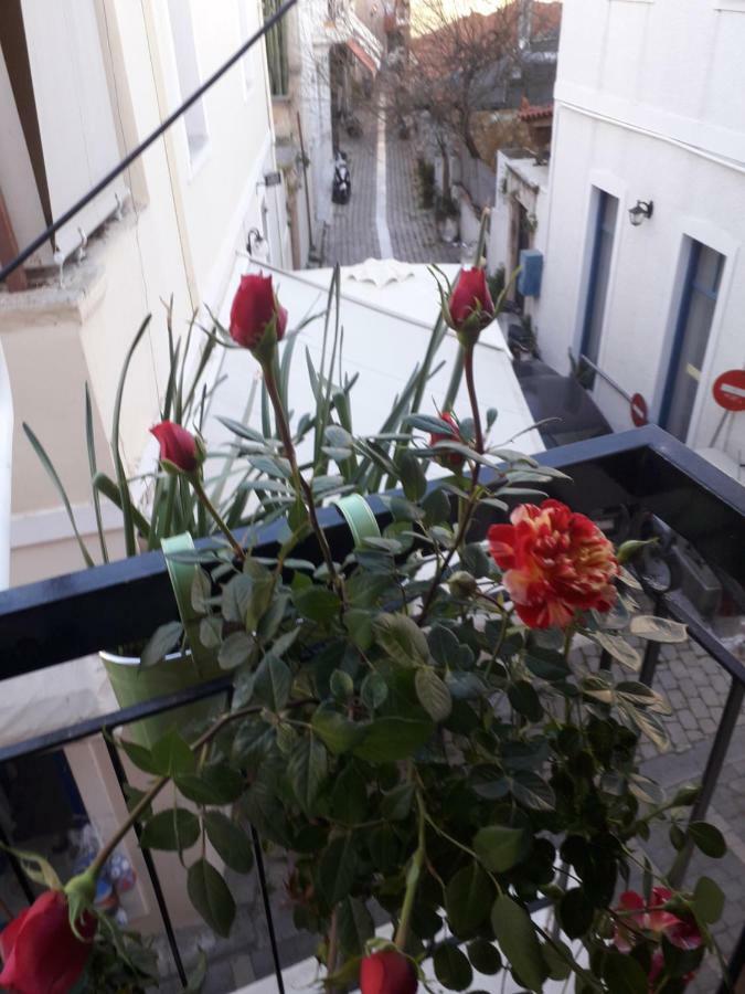 Aegina'S Flowers House מראה חיצוני תמונה