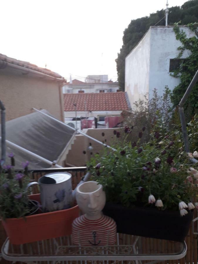 Aegina'S Flowers House מראה חיצוני תמונה