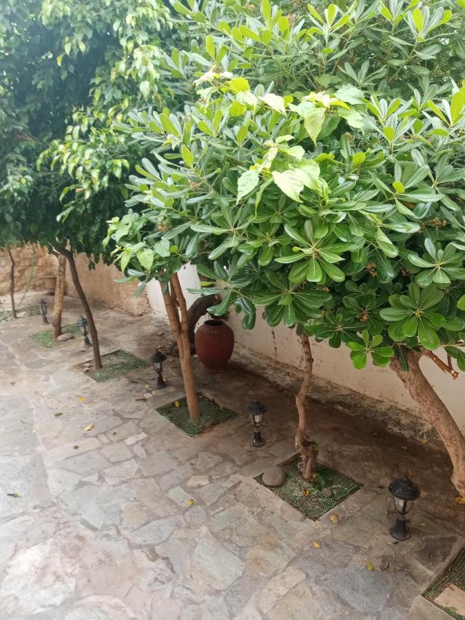 Aegina'S Flowers House מראה חיצוני תמונה